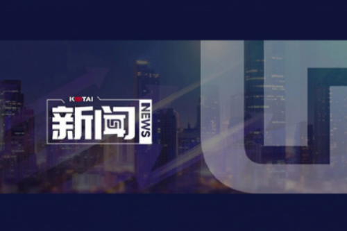 AI驱动新增长，扣非净利提升10%，365英国上市数码2025一季度稳健开局